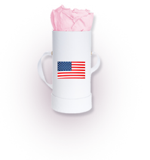 USA